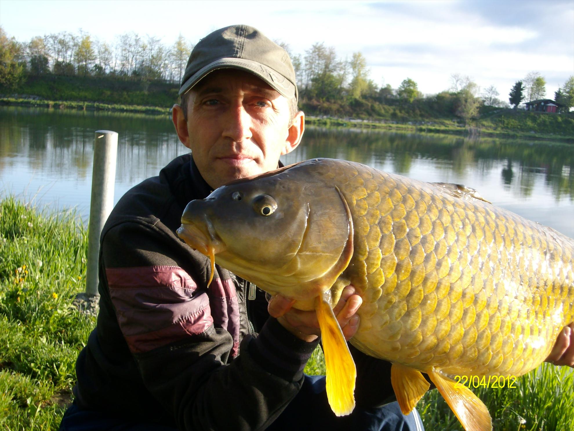 florian tanasa - alim0554.JPG